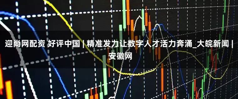 迎尚网配资 好评中国 | 精准发力让数字人才活力奔涌_大皖新闻 | 安徽网