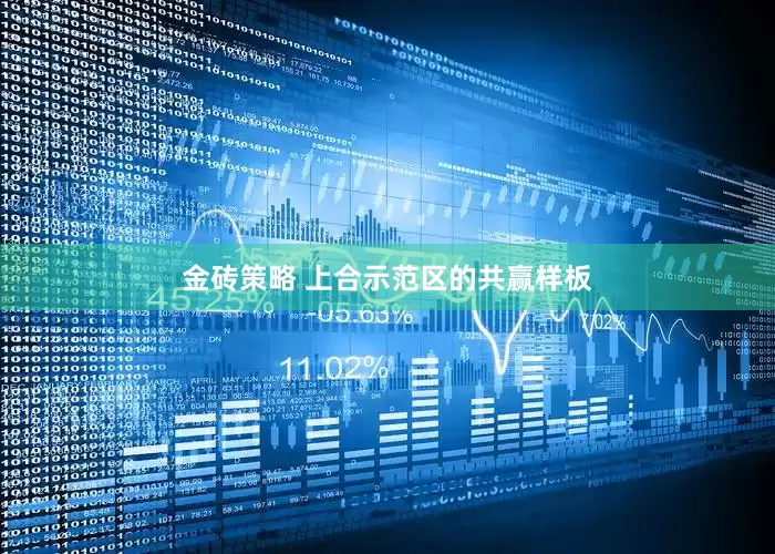 金砖策略 上合示范区的共赢样板