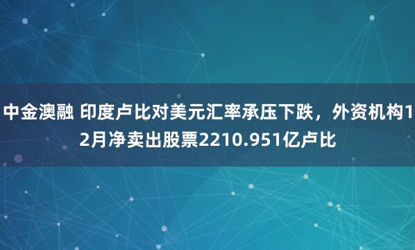 中金澳融 印度卢比对美元汇率承压下跌,外资机构12月净卖出股票2210.951亿卢比